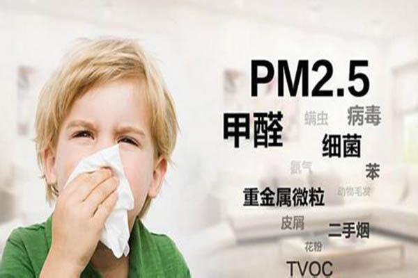 t7網.jpg